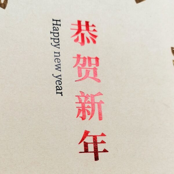 New Year packaging boxes